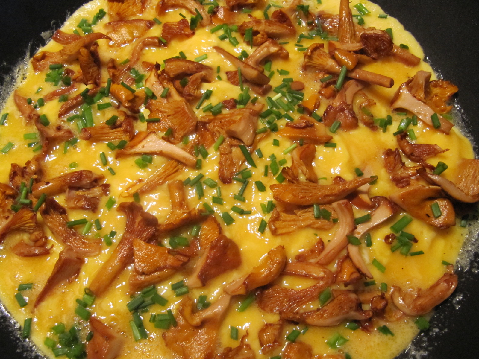 omelette aux girolles