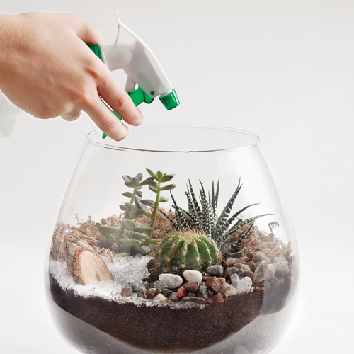 entretien terrarium