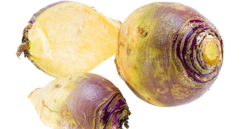 navet et rutabaga