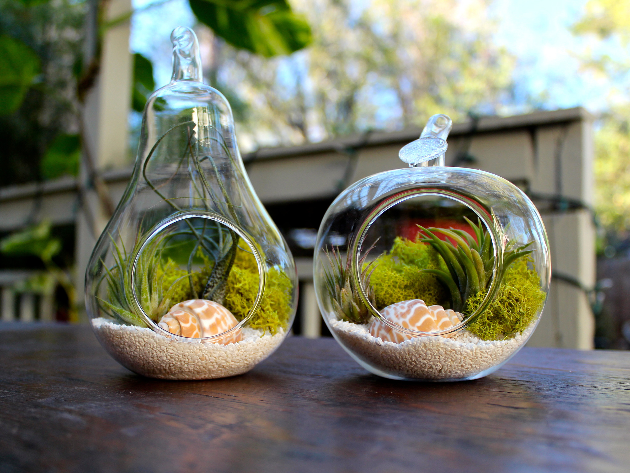 terrarium deco