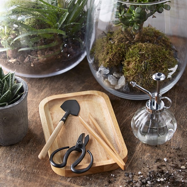 terreau terrarium