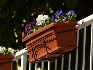 balconniere