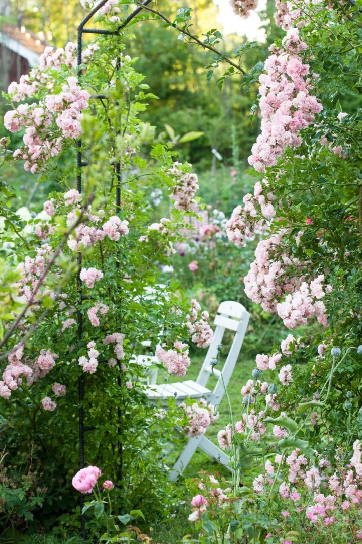 Décoration jardin