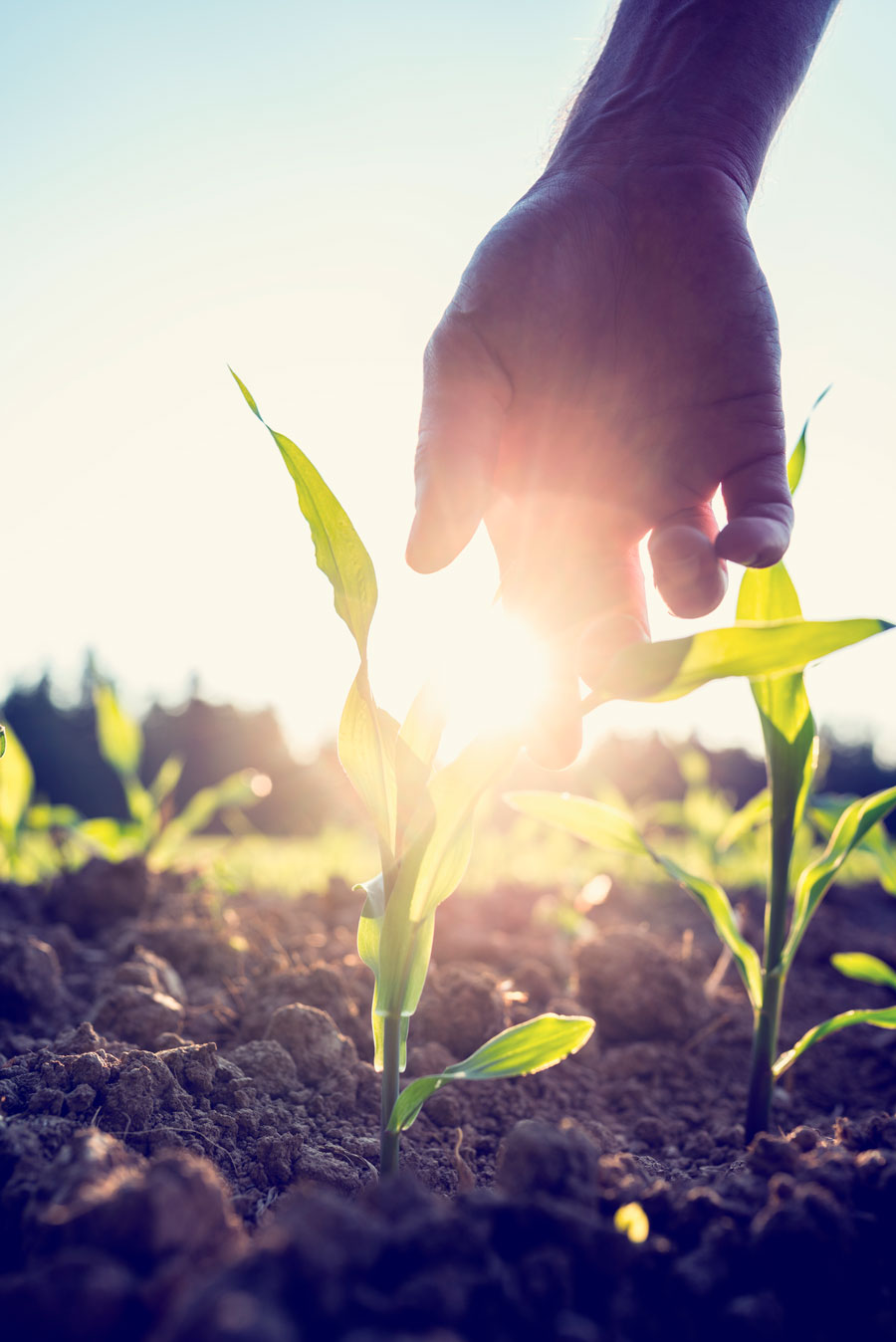 agriculture bio